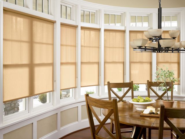 Hunter Douglas Designer Roller Shades complement this decor.